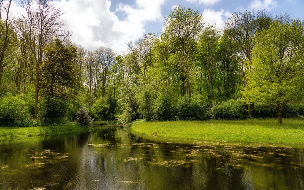 paisaje_423_20120711_1174608391