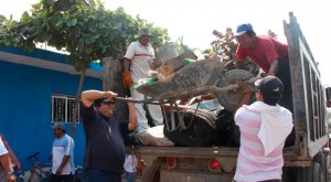 descacharrización_210314