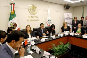 Comisiones unidas 1