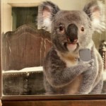 Selfie