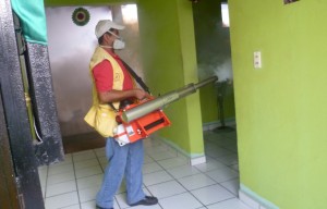 Protegen del dengue