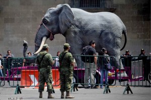 protesta_circense_5