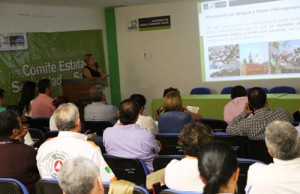 Consejo Seguridad Salud