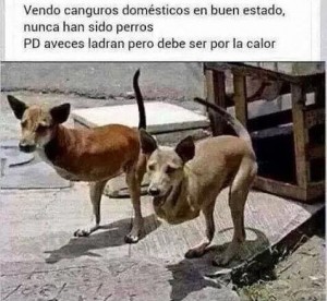Sin título-1