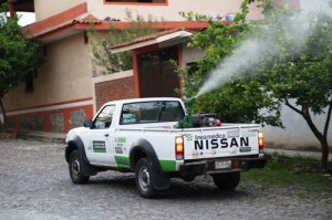 Menos dengue (2)