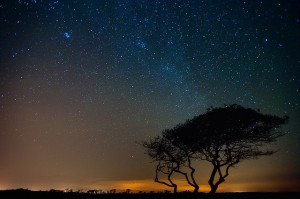 lluvia-de-estrellas-cometa-harley