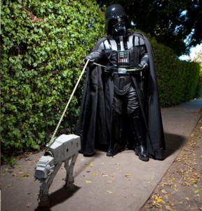 sacando-a-pasear-al-perro4