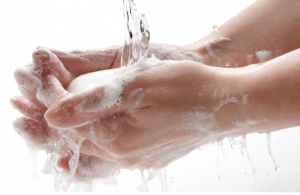 Heces, las excretas