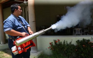 Aplican nebulización