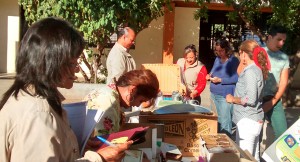 Inclusión-2