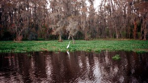 55df9d1ec46188df2d8b45d2