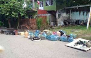 Se propaga chikungunya