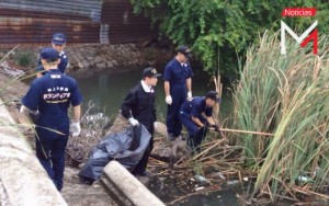 20a12b3f495f4c872b2b108acea7b37f_L