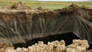 5602a378c46188041d8b45a3