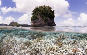 This photo provided by the XL Catlin Seaview Survey, taken in February 2015, shows coral after bleaching in American Samoa, when the XL Catlin Seaview Survey responded to a NOAA coral bleaching alert. Devastating bleaching of colorful coral is spreading into a rare worldwide crisis, scientists announced, predicting it will likely get worse. Triggered by global warming and the El Nino, record hot ocean water is causing the fragile coral to go white and often die, threatening picturesque reefs that are hotspots of marine life, experts say. (XL Catlin Seaview Survey via AP)
