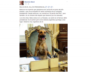 balcarce-sillon-fb
