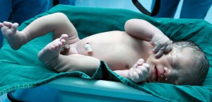 CmxmphS005348_20160225_MXPFN0A001-c-1078x516