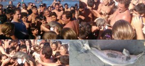 DELFIN