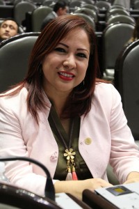 Dip. Ma. Luisa Beltrán