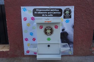 10603961_487959401411963_5338009693100497857_o