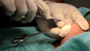 c169ee195126915f4b1175d7da9ecf01_L