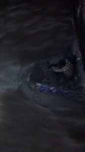 thumbnail_Lluvias-PC (1)