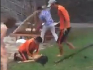 INT1245164cff36a85_0