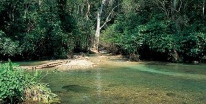 rio-balneario-agua-fria-colima