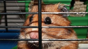 57f23507c4618895758b458c