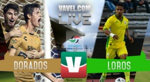 dorados-loros-322278053