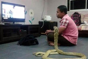 int12649576132ac0f_6