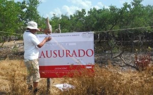 rot_profepa_clausura_predio_en_ano_de_yum_baam_en_holbox_1-c-702x438
