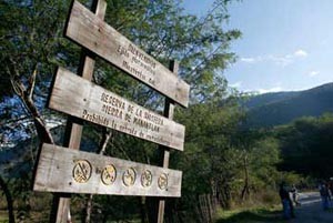 cerro grande col