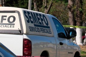 semefo-759x500