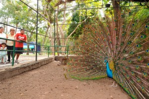 Parque-regional-3-c-1078x719
