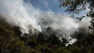 a02_04_incendio