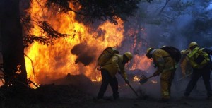 Incendio-Parque-Nevado-de-Colima-770x392