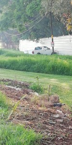 whatsapp_image_2019-08-02_at_10_21_12_am.jpeg_1317145324