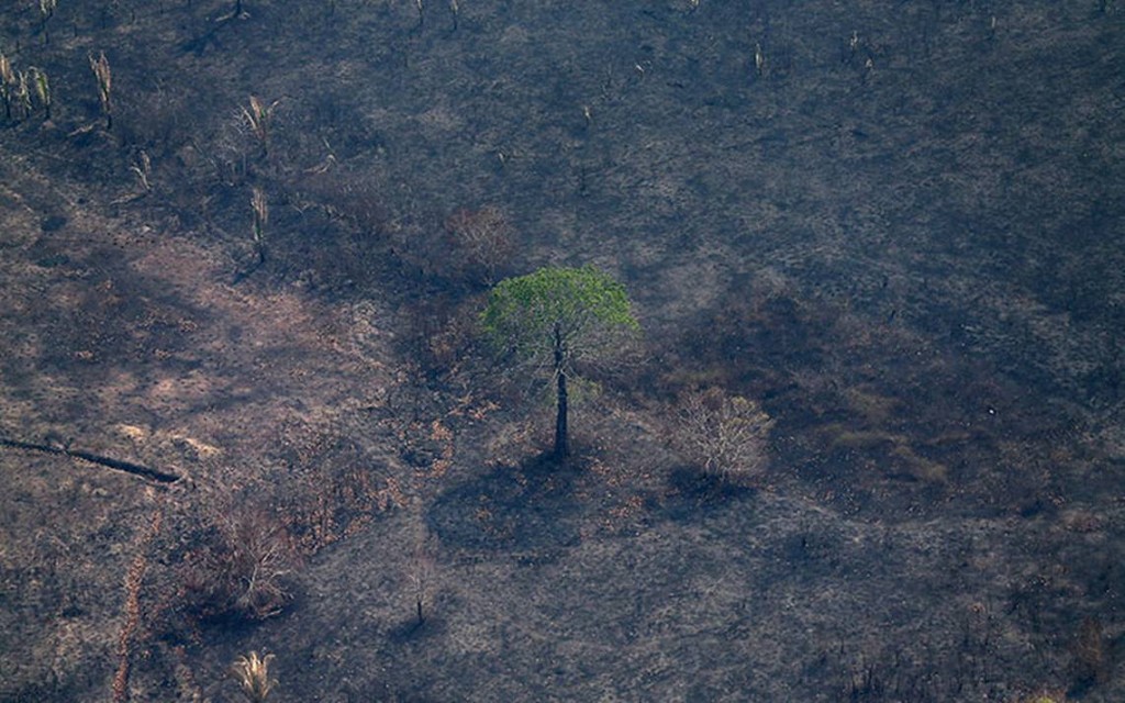 Amazonas_incendio_3